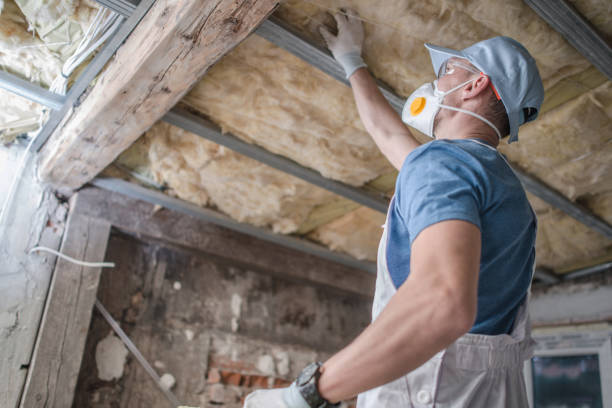 Best Attic Insulation Installation  in Prescott Valley, AZ